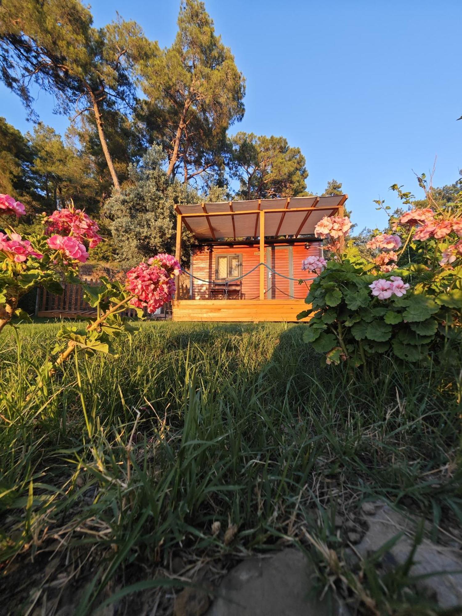 ホテル Tiny Mini House ダラマン エクステリア 写真