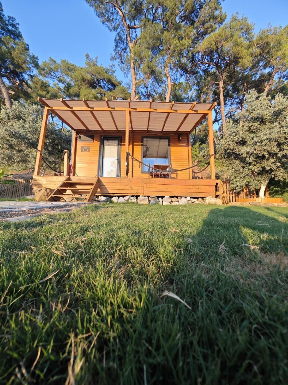 ホテル Tiny Mini House ダラマン エクステリア 写真