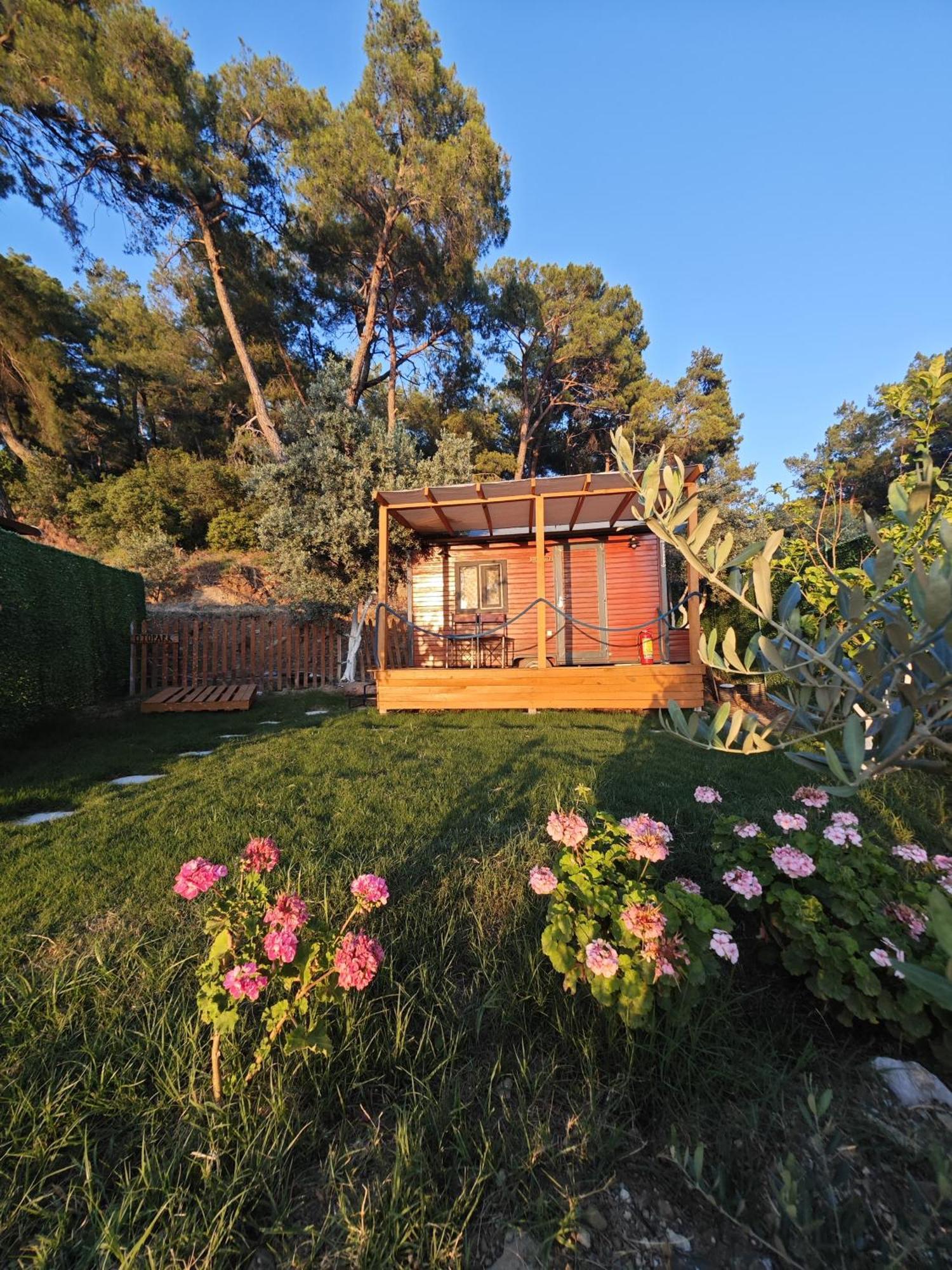 ホテル Tiny Mini House ダラマン エクステリア 写真